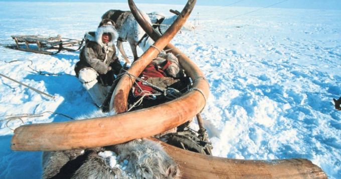 National Geographic Live: How to Clone a Mammoth at Benaroya Hall