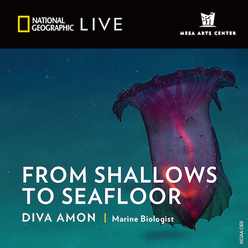 National Geographic Live: From Shallows to Seafloor at Benaroya Hall